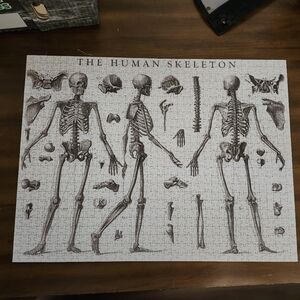 1000 Piece Human Skeleton Puzzle